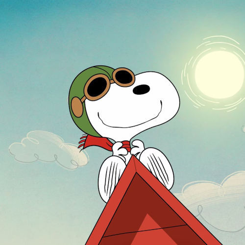 24Snoopy 16x